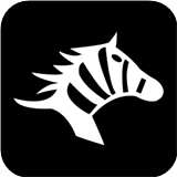 斑马快跑网约车(同城货运服务软件) v5.50.2.0002 安卓版