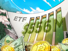 一文了解5.56 亿美元的比特币 ETF 现货流入预示着投资者情绪的重大转变