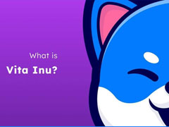 VINU是什么币种？VINU币价格最新行情