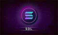 2025年Solana (SOL)质押新手教程：初学者的分步指南