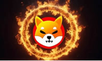 SHIB暴涨，后市行情如何？SHIB币技术面+基本面全面分析