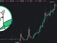 颠覆币安下架代币即利空！Alpaca逆势暴涨 社群KOL给出3个观点