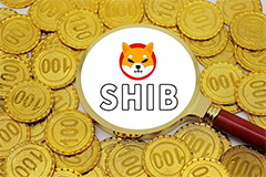 马斯克称 SHIB 将作为 X 的支付方式之一，如何看待？