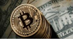 虚拟币交易所有多少家？2025年虚拟币交易所最新排名榜
