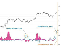 比特币筹 码结构出现异动、长期持有者成本剧震近10%！阶段性高位来临还能进场吗？