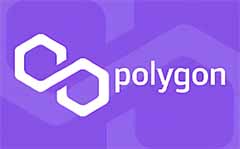 Polygon在2025年5月是一个好的投资选择吗？一文分析