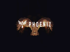 什么是Phoenix(PHB)?Phoenix项目概述,代币经济完整指南介绍