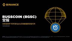 什么是BugsCoin (BGSC)？BGSC的发展前景和未来价值如何？