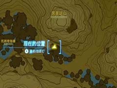 塞尔达传说王国之泪独角仙在哪 独角仙位置介绍