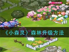 小森灵森林怎么升级？森林升级方法介绍