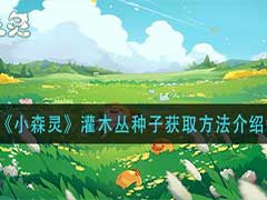 小森灵灌木丛种子如何获取？灌木丛种子获取方法介绍