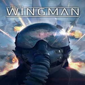 僚机计划手游中文版(战斗飞行动作游戏) Project Wingman v2.1.1 安卓版