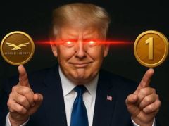 20个问答带你看懂特朗普家族加密项目WLFI治理模式
