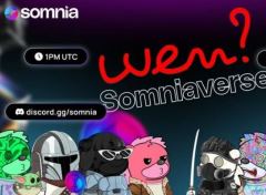 Somnia(SOMI币)是什么？值得投资吗？SOMI币核心技术、代币模型及前景分析