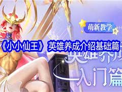 小小仙王英雄如何养成？英雄养成玩法攻略