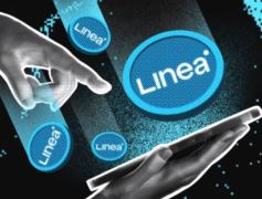 Linea将迎TGE 有哪些值得关注的信息？