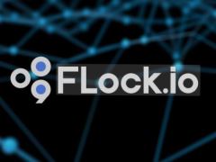 FLock.io(FLOCK)币是什么？怎么样？FLOCK架构、代币和路线图介绍