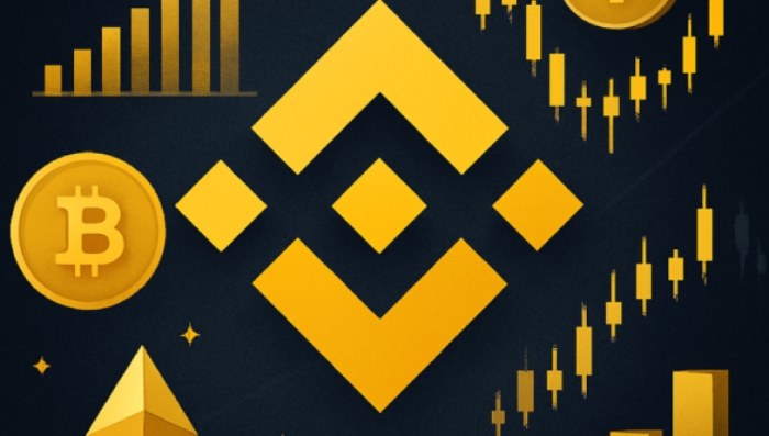 币安HODLer空投教学:币安HODLer是什么?如何申购与领取?