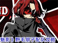 女神异闻录：夜幕魅影野毛朋子如何配队？野毛朋子配队玩法攻略