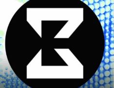 什么是zkVerify (VFY)币？值得投资吗？zkVerify投资价值、代币经济和前景分析