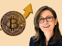 对话Cathie Wood：Ark投资三大方向，比特币、以太坊、Solana是最终选择