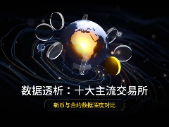 数据透析：十大主流交易所新币与合约数据深度对比