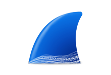 Wireshark 网络分析器 v4.42 绿色便携中文版 64位