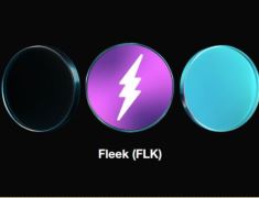 Fleek(FLK)币是什么？值得投资吗？Fleek工作原理、代币经济学及未来展望