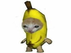 什么是香蕉猫Meme币（BCT）？BCT代币经济学、购买流程