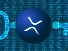 什么是XRP冷钱包？为什么XRP需要专门的冷钱包？2025年XRP冷钱包终极指南