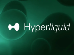 Hyperliquid HIP-3生态初探:哪些项目暗藏Alpha机遇?