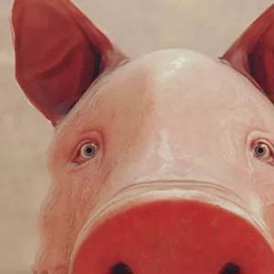 小猪模拟器手游(模拟养成类游戏) Pig Simulator v2.9.0 安卓版