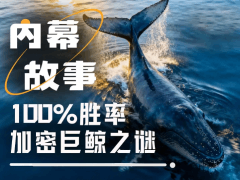 100%胜率巨鲸是如何炼成的?揭秘特 朗普派内幕人士真实身份