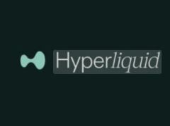 什么是Hyperliquid (HYPE)币？未来前景如何？HYPE币2025, 2026-2030年价格预测