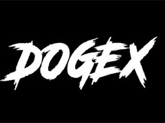 什么是迷因币DOGEX？DOGEX代币经济学及2025价格预测