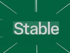 Stable稳定币公链是什么？如何申购？一文详解