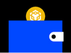 如何将MetaMask钱包连接到BNB智能链(BSC)？一文分步过程指南