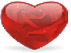 双鱼文件宝(文件加密软件) v1.3 绿色免费版