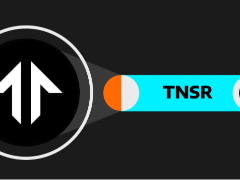 Tensor (TNSR) 价格预测2025-2030