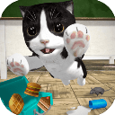 猫咪模拟器手游中文版(猫咪模拟养成休闲游戏) v5.4.1 安卓版