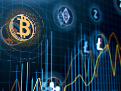 什么是狮子头交易所？常见运作模式与骗局揭秘