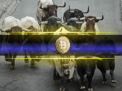 比特币重回 9.3 万美元，看涨情绪回归