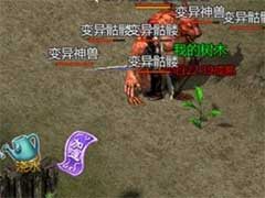 王者传奇苍月种植如何开启？苍月种植玩法攻略