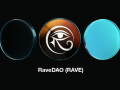 RaveDAO(RAVE)币是什么?如何运作的?RaveDAO项目概述,代币经济与前景分