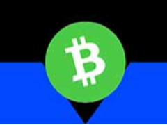 比特币现金 (BCH) 支付区块链是什么？它如何运作？代币经济学、购买指