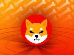 柴犬币（Shib币）未来五年（2025-2030）前景分析