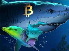 一文了解比特币空头以13年来最快速度累积，BTC下跌30%