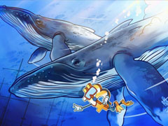 一文详细了解新比特币鲸鱼正在重塑 BTC 的市场结构