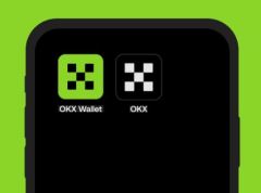 如何使用OKX Wallet智能账户进行跟单交易？在Web3进行跟单操作的详细教程