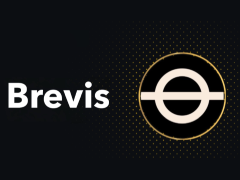 Brevis Network(BREV)币是什么?值得投资吗?Brevis项目概述,代币经济与前景分析